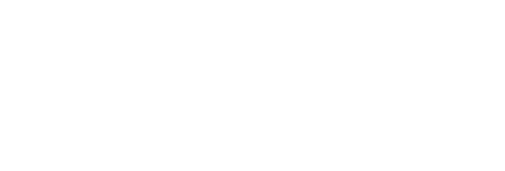 FPG Financial Partners Group
